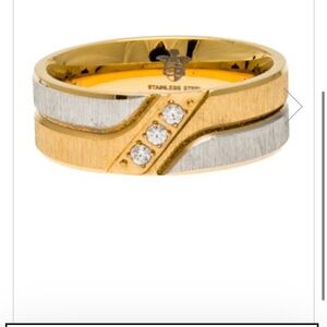 The BlackJack Sport Steel and 18k Gold Plated Satin Stainless Steel Triple CZ